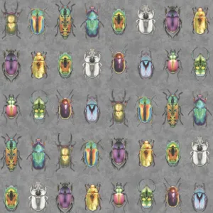 Random Beetle Insects Wallpaper
