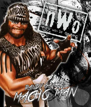 Randy Savage New World Order Wallpaper