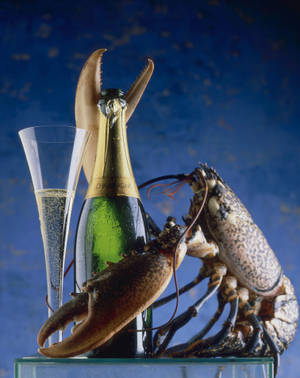 Rare Calico Lobster With Champagne Wallpaper