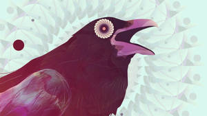 Raven Eye Graphic Hd Wallpaper