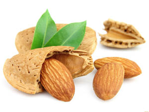 Raw Almond Shells Wallpaper