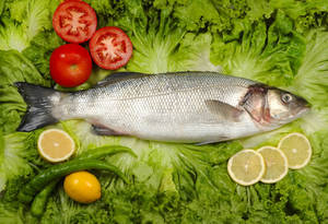 Raw Gray Mullet On Top Of Lettuce Wallpaper
