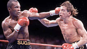 Ray Leonard Punching His Foe In The Head Wallpaper