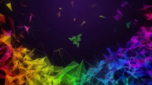 Razer Logo Reactive Rgb Colors Wallpaper