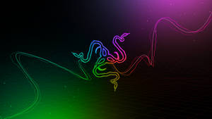 Razer Logo Rgb 4k Wallpaper