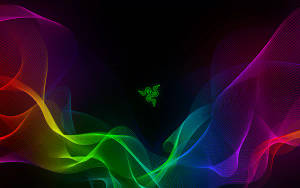 Razer Neon Hues 4k Wallpaper