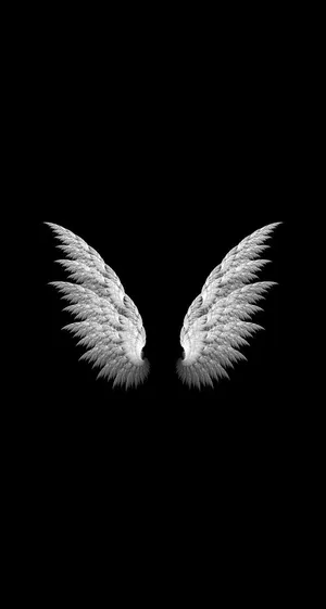 Realistic White Angel Wings Pair Isolated Wallpaper