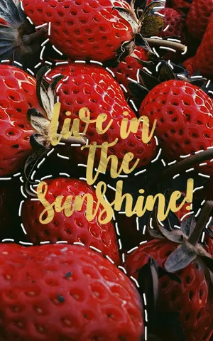 Red Aesthetic Tumblr Strawberries Live In The Sunshine Wallpaper