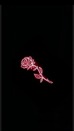 Red And Black Aesthetic Neon Rose Wallpaper