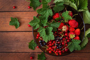 Red And Black Currant Berries Fresh Fruits Wallpaper