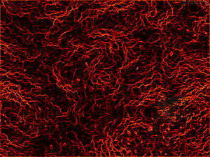 Red And Black Static Wallpaper