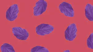Red And Purple Minimalist Plant Wallpaper