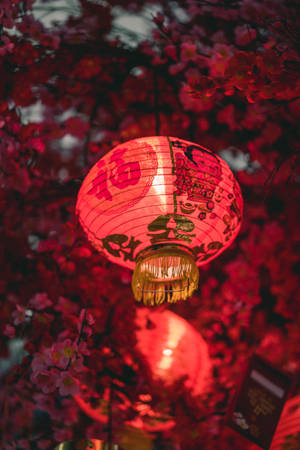 Red And Yellow Paper Lantern Wallpaper