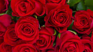 Red Background With Abstract Shapes Wallpaper