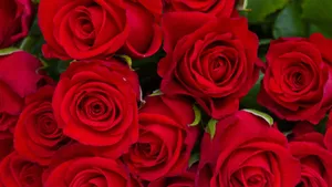 Red Background With Abstract Shapes Wallpaper