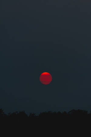 Red Baddie Sun Wallpaper