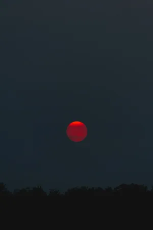 Red Baddie Sun Wallpaper