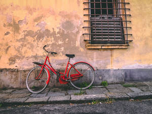 Red Bike Beside Wall Wallpaper