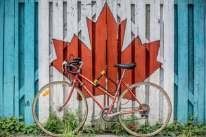 Red Bike Beside Wooden Wall Wallpaper