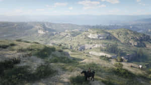 Red Dead Redemption 4k Hillside Wallpaper