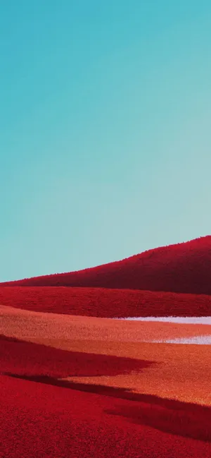 Red Field Google Pixel 4 Background Wallpaper