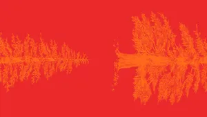 Red Gradient Wallpaper