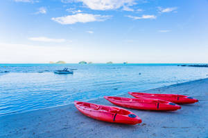 Red Kayaks By The Beach Wallpaper