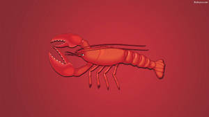 Red Lobster Illustration Wallpaper