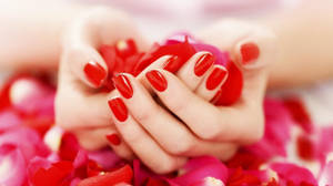 Red Rose Petals Nails Wallpaper