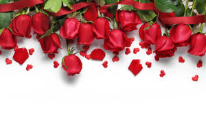 Red Roses Background Design Wallpaper