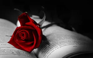 Red Roses Laptop On A Book Wallpaper