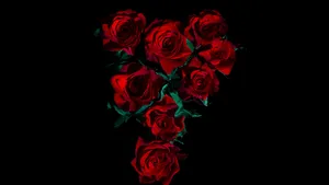 Red Roseson Black Background4 K Wallpaper