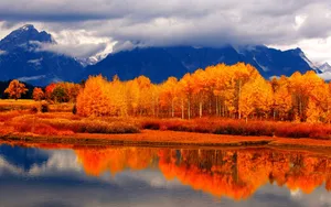 Red Trees Around Lake Fall Wallpaper
