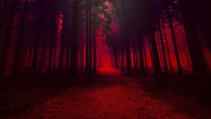Red Trees Dark Forest Wallpaper