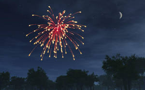 Red Willow New Years Eve Wallpaper