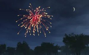 Red Willow New Years Eve Wallpaper