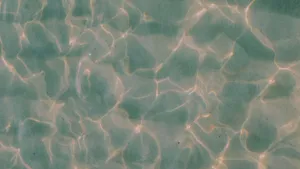 Refresh Your Desktop With A Beautiful Pastel Green Aesthetic. Wallpaper