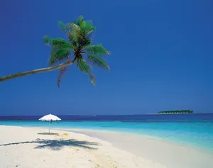 Relaxation Time At Cute Summer Beach Wallpaper