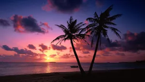 Relaxing Evening View Of A Beach Sunset Wallpaper