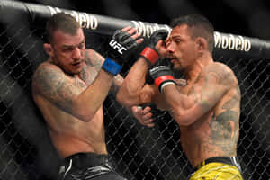 Renato Moicano Vs Rafael Dos Anjos Wallpaper