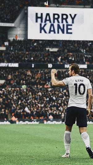 Retrospective View Harry Kane Wallpaper