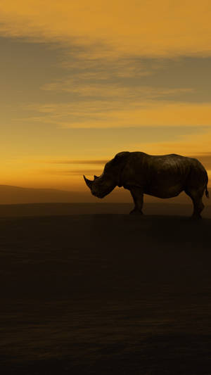 Rhinoceros In Sundown Wallpaper