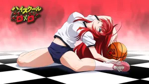 Rias Gremory From Highschool Dxd Wallpaper