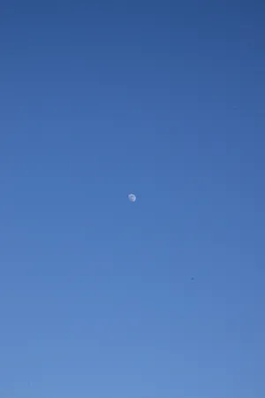 Rin Okumura In Blue Exorcist Action Scene Wallpaper