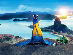 Rio Blue Yellow Scarf Wallpaper