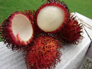 Ripe Pulasan Fruit Slice Wallpaper