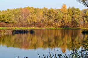 River And Trees Beautiful Autumn Desktop Wallpaper