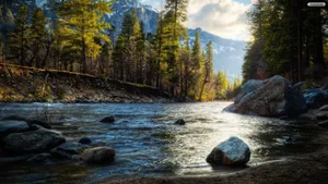 River Golden Hour Nature Photography Wallpaper