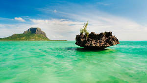 Rock Boulder In Mauritius Ocean Wallpaper