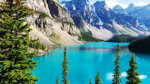Rocky Mountain National Park Blue Moraine Lake Wallpaper